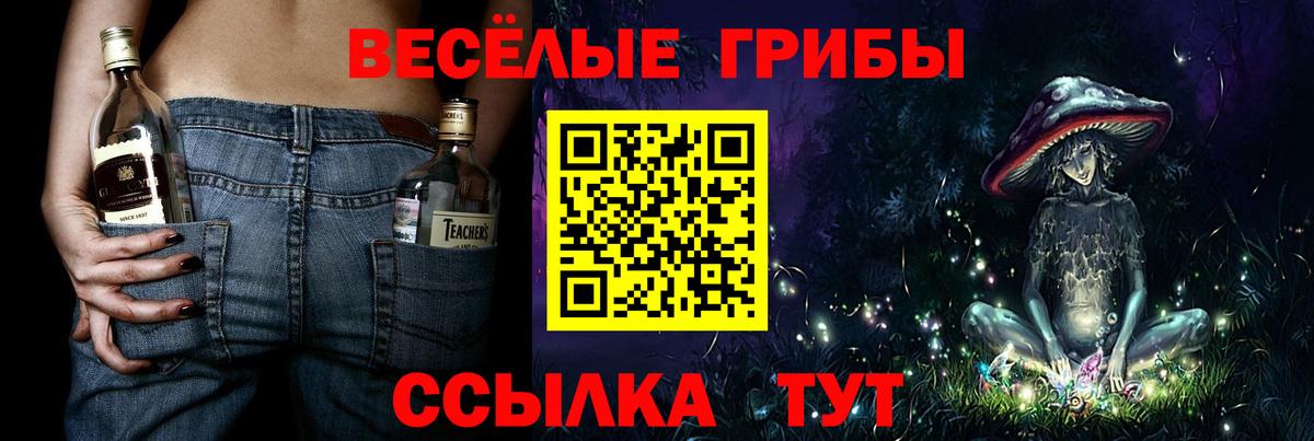 Кореновск  Галлюциногенные грибы прущие грибы  Вход с VPN  Галлюциногенные грибы Cubensis 